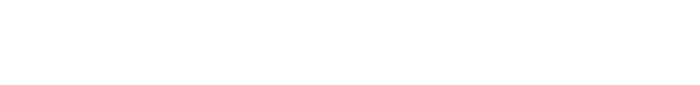 Logo NEW TAILOR