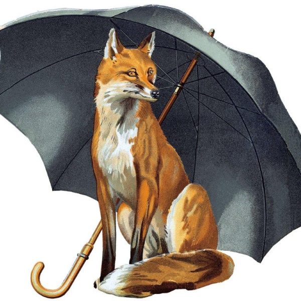 Fox Umbrella's - Logo colour